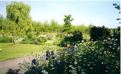 The Garden